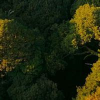 Download Earthsounds.S01E08.Atlantic.Coasts.720p.ATVP.WEB .